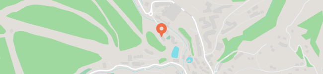Карта: Ивано-Франковская обл., Яремчанский городской совет, Поляница с.